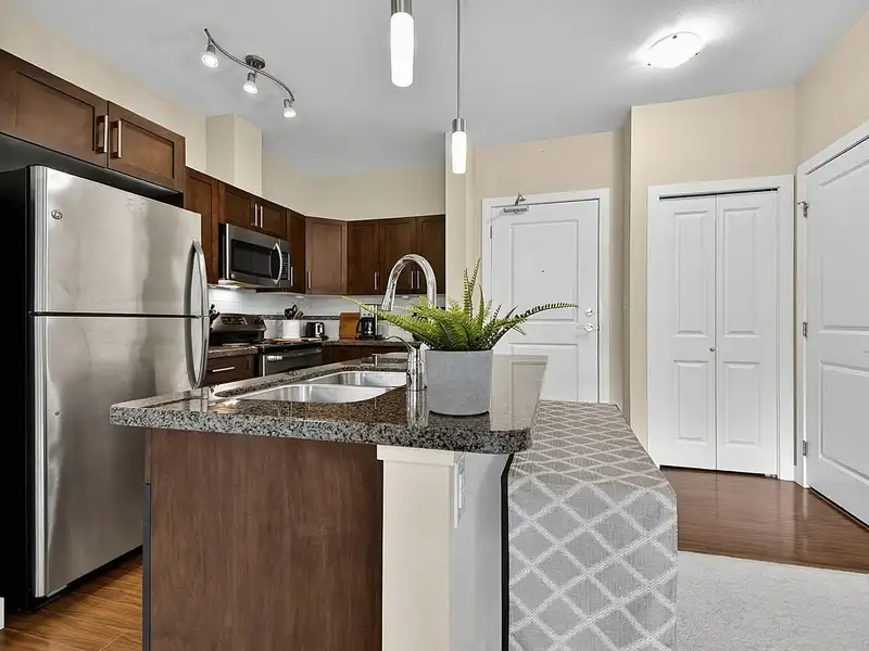 404 33898 PINE STREET - photo 3 of 29