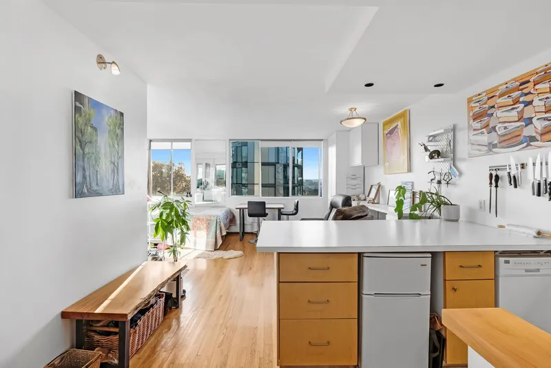 901 1250 BURNABY STREET - photo 4 of 25