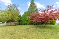 32925 ORCHID COURT - thumbnail 29