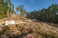 1570 DOUGLAS ROAD - thumbnail 9