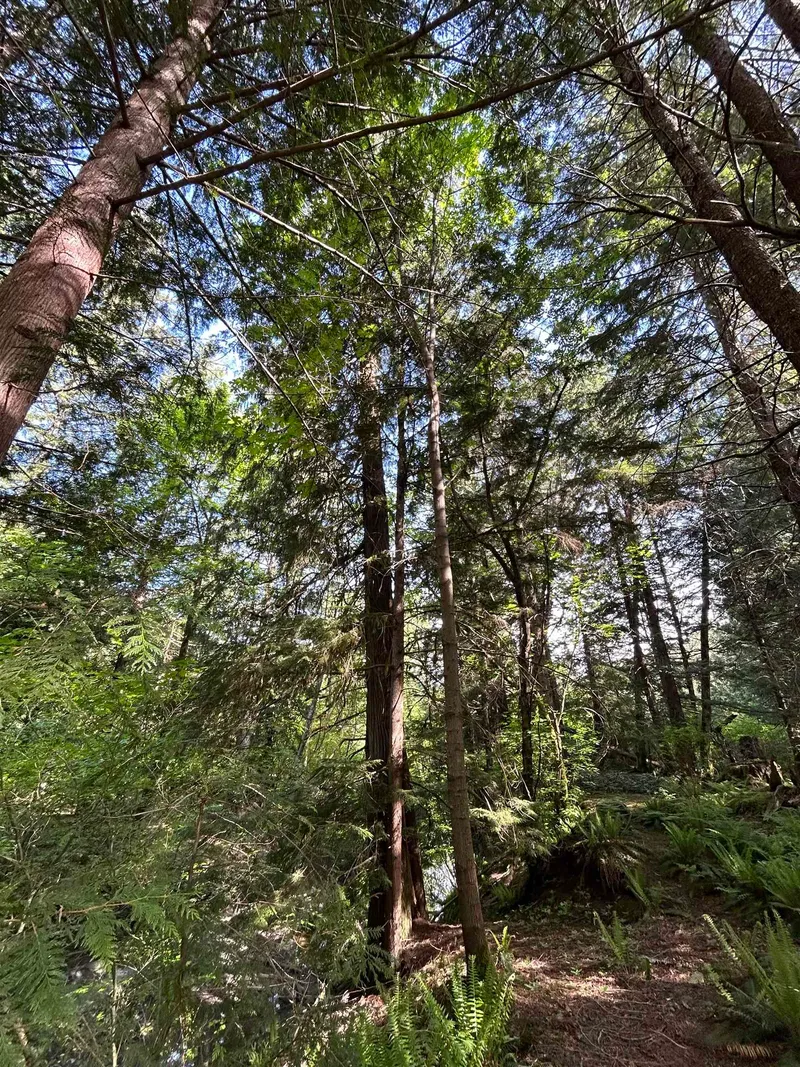 9063 PARADISE VALLEY ROAD - photo 1 of 14