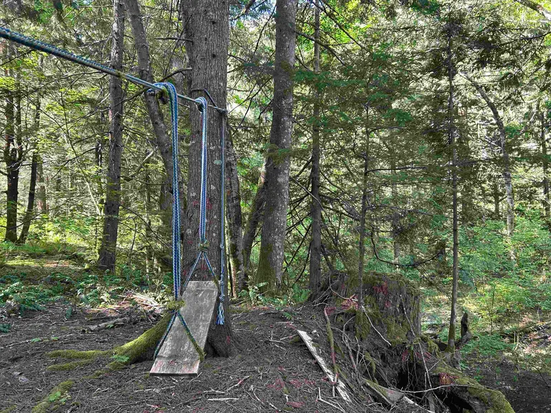 9063 PARADISE VALLEY ROAD - photo 3 of 14