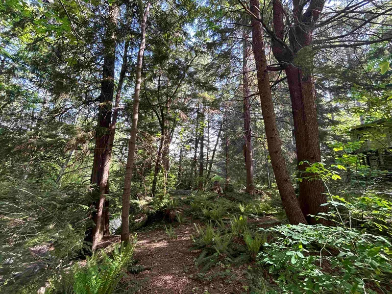 9063 PARADISE VALLEY ROAD - photo 4 of 14