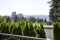 743 APPLEYARD COURT - thumbnail 22