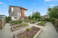 50 8430 203A STREET - thumbnail 28