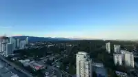 4302 3809 EVERGREEN PLACE - thumbnail 2