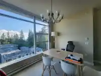 1106 9222 UNIVERSITY CRESCENT - thumbnail 3