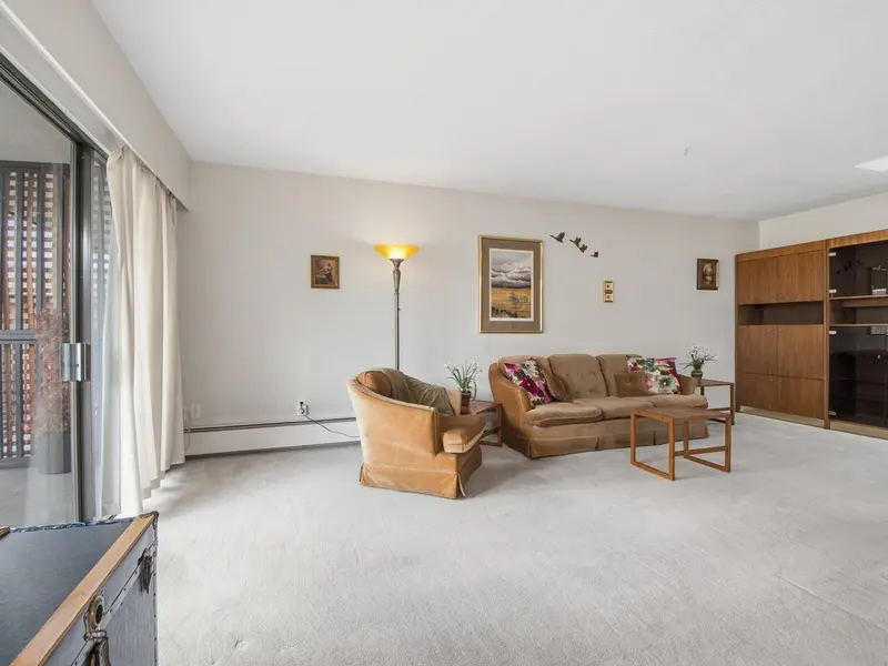 315 155 E 5TH STREET - photo 4 of 21