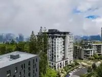 809 8750 UNIVERSITY CRESCENT - thumbnail 2
