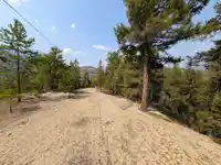 200 MILLS ROAD - thumbnail 19