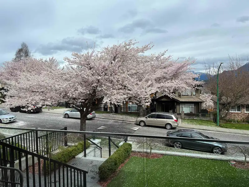 4326 CAMBRIDGE STREET - photo 2 of 36