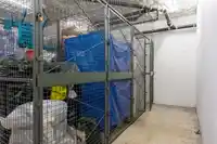 108 618 COMO LAKE AVENUE - thumbnail 20
