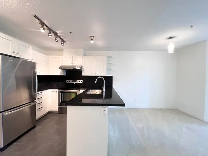 305 4550 FRASER STREET - photo 4 of 34