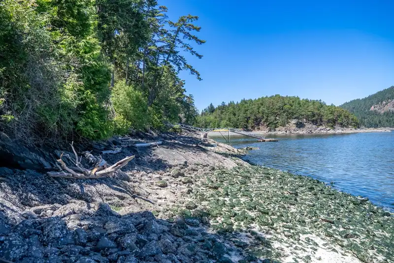 7911 BEDWELL DRIVE - photo 4 of 40