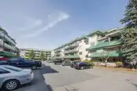 413 2962 TRETHEWEY STREET - thumbnail 3