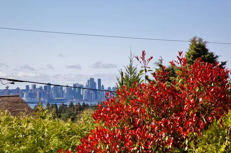 445 W QUEENS ROAD - photo 2 of 23