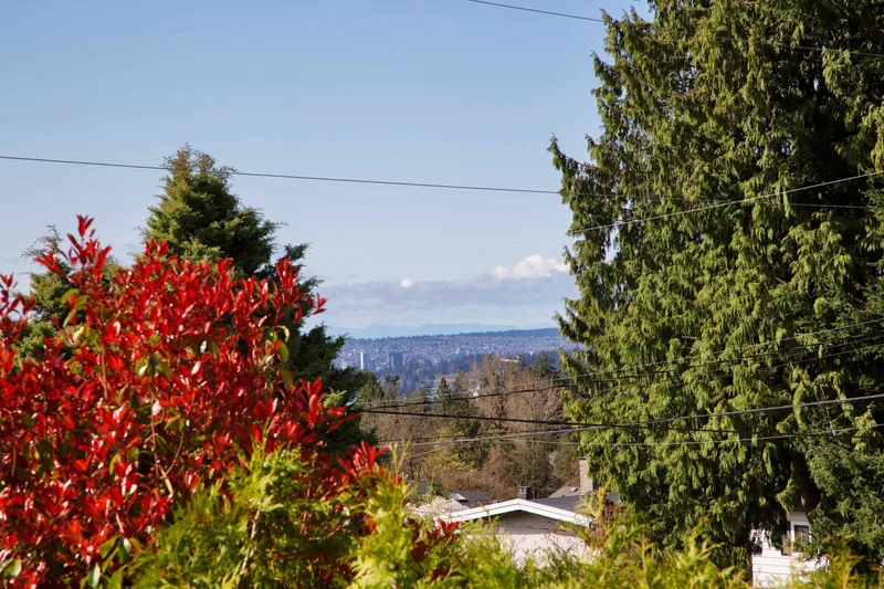 445 W QUEENS ROAD - photo 3 of 23