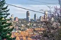 824 CHESTNUT STREET - thumbnail 24