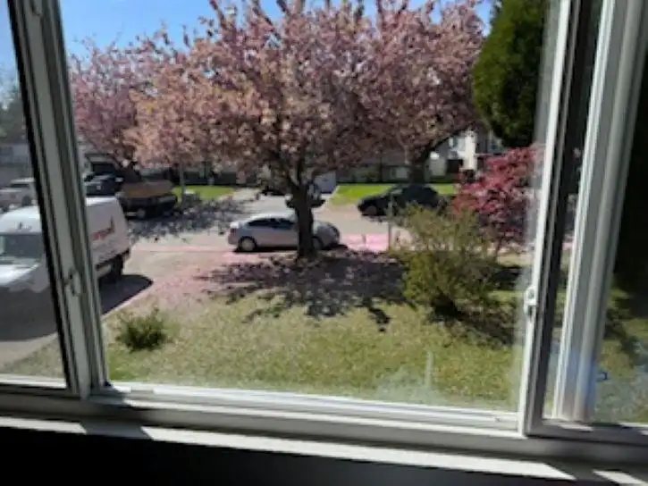 8868 ROSLIN PLACE - photo 3 of 20