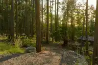 786 HAYES ROAD - thumbnail 2