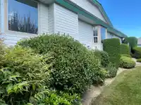 7 3115 TRAFALGAR STREET - thumbnail 30