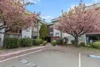 307 2279 MCCALLUM ROAD - thumbnail 1