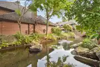 56 6600 LUCAS ROAD - thumbnail 12