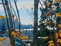 404 5631 INLET AVENUE - thumbnail 13
