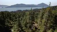 Lot 33 FIRCOM PLATEAU - thumbnail 25