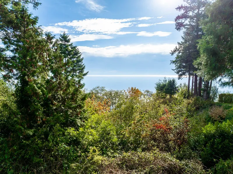 13536 13A AVENUE - photo 2 of 12