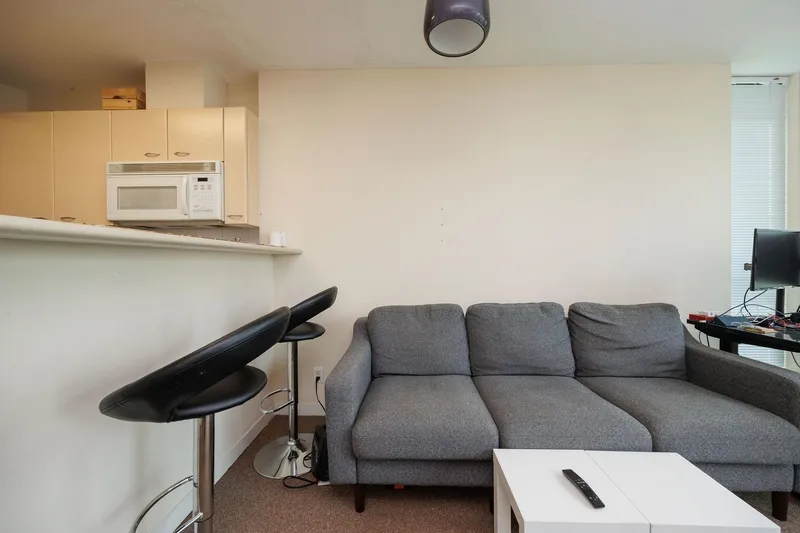 809 1331 ALBERNI STREET - photo 4 of 18