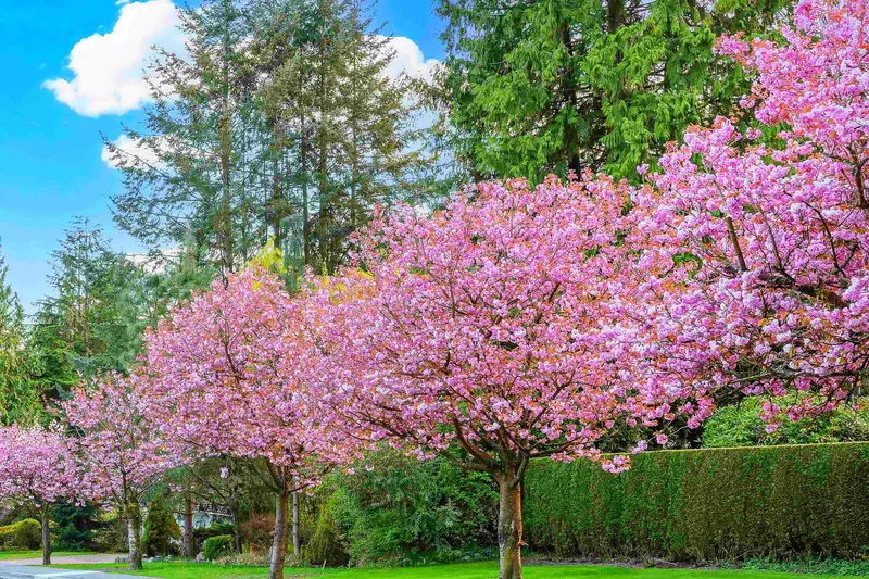 5078 MAIN STREET - photo 3 of 7