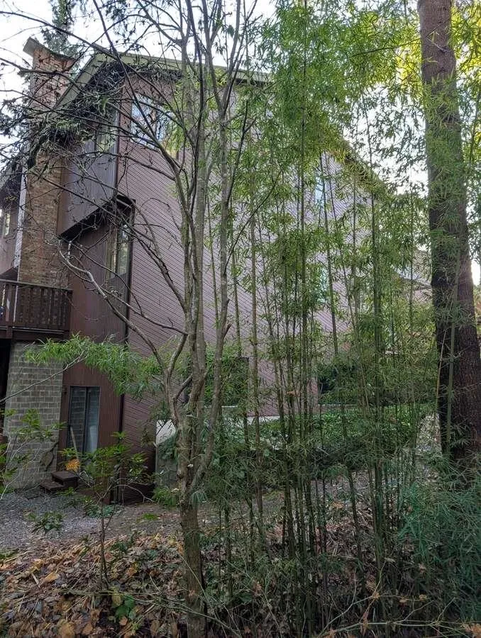 1498 CHAMBERLAIN DRIVE - photo 4 of 25