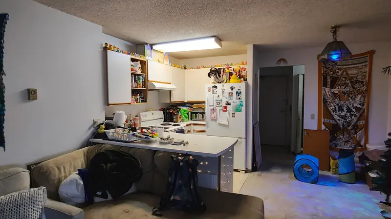 2303 3970 CARRIGAN COURT - photo 4 of 20