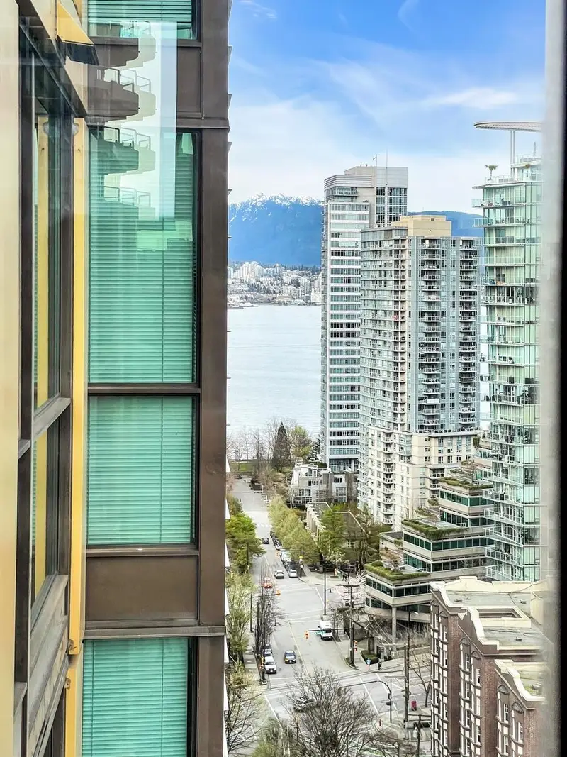 2011 1331 ALBERNI STREET - photo 4 of 25