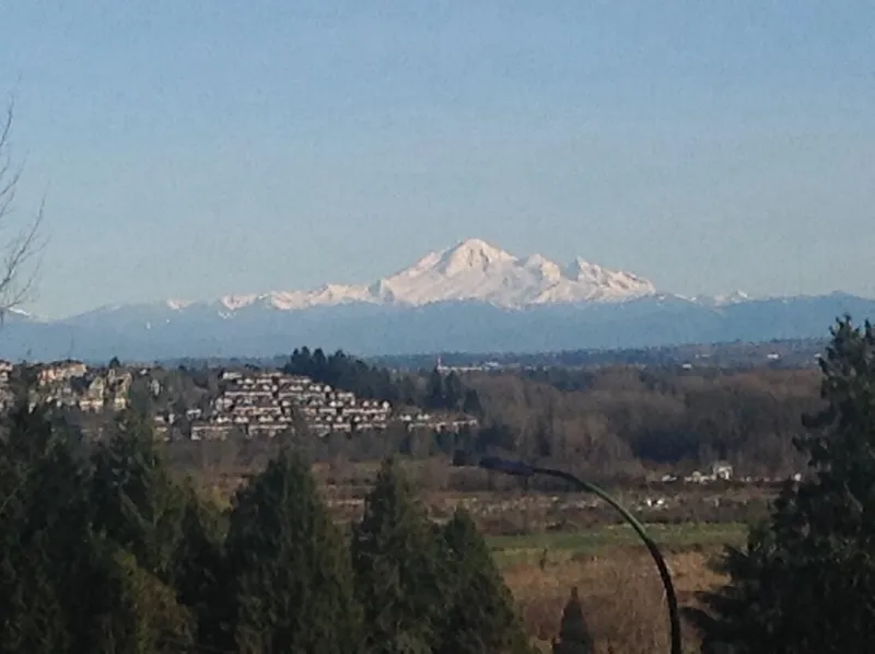 2519 PENSHURST COURT - photo 2 of 25