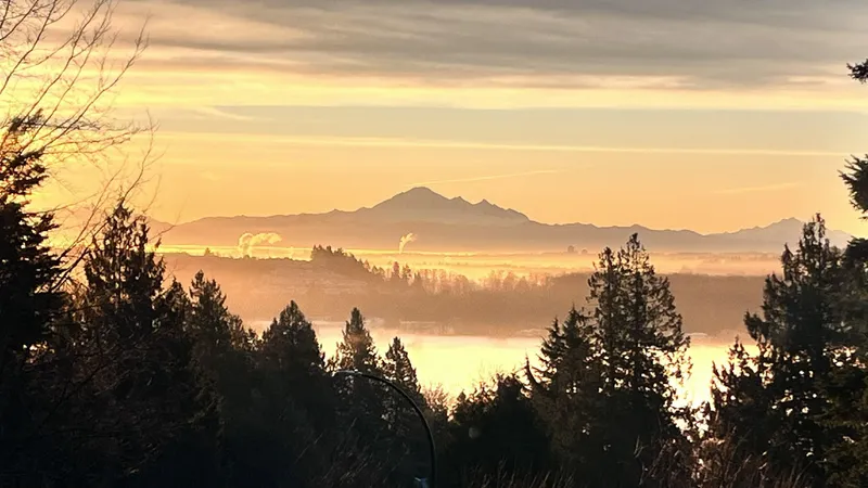 2519 PENSHURST COURT - photo 3 of 25