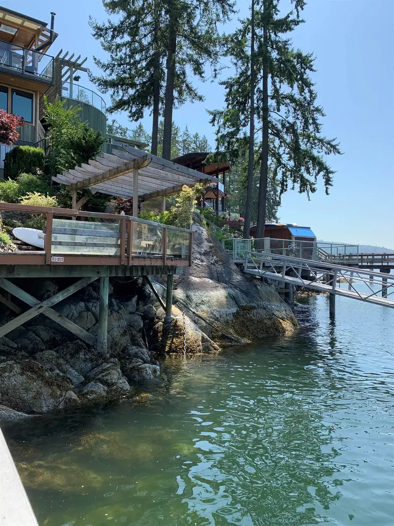 203 TURTLEHEAD ROAD - photo 4 of 25