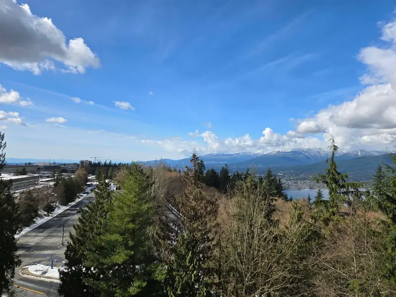 610 8850 UNIVERSITY CRESCENT - photo 3 of 25