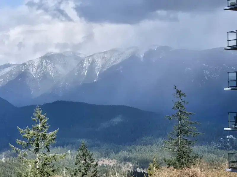 610 8850 UNIVERSITY CRESCENT - photo 4 of 25