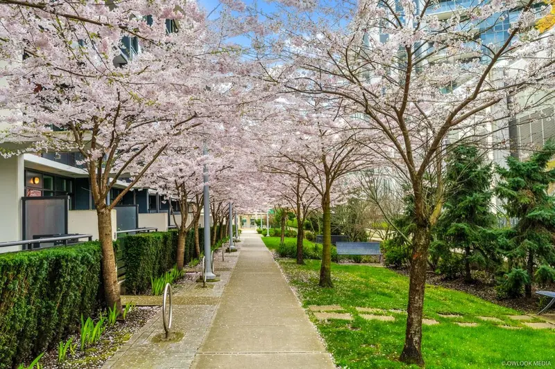 42 8628 HAZELBRIDGE WAY - photo 3 of 25