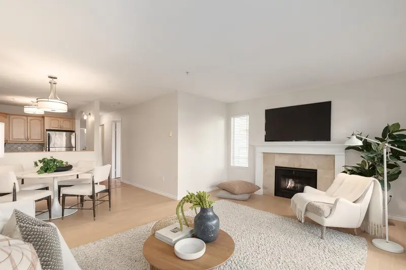 203 876 W 14TH AVENUE - photo 4 of 25