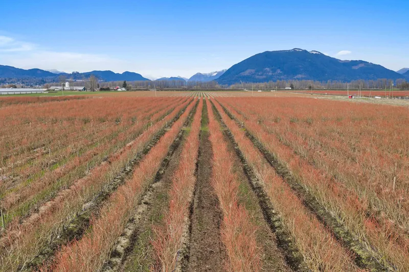 6209 LITTLE STREET - photo 1 of 24