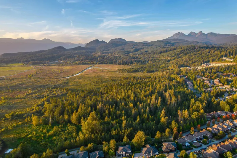 13652 228 STREET - photo 4 of 25