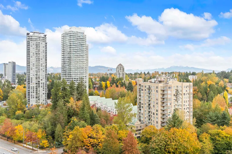 3705 13745 GEORGE JUNCTION - photo 4 of 25