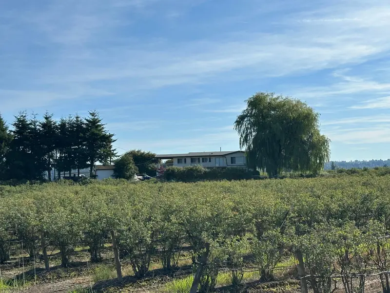 32702 HARRIS ROAD - photo 2 of 21