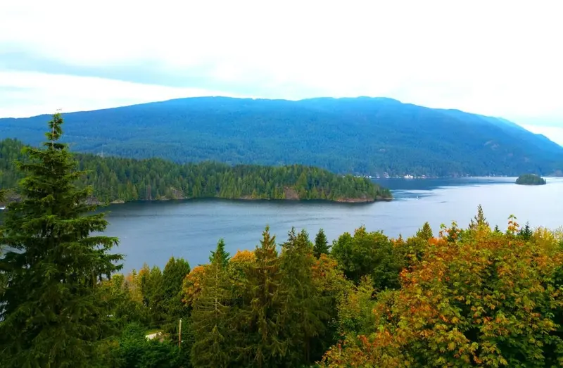 3642 BEDWELL BAY ROAD - photo 2 of 25