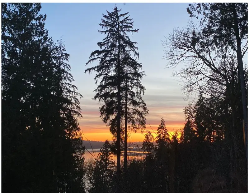 301 560 RAVEN WOODS DRIVE - photo 3 of 25