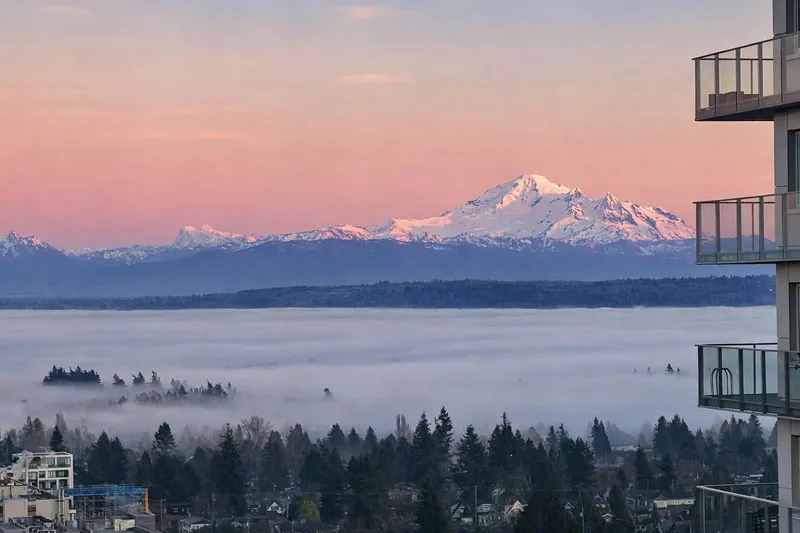 2104 1588 JOHNSTON ROAD - photo 3 of 25