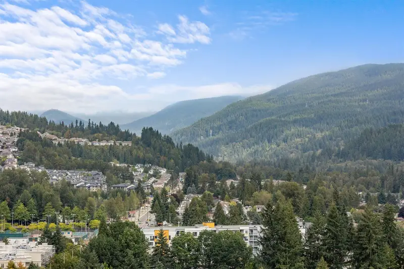 2502 3093 WINDSOR GATE - photo 3 of 25